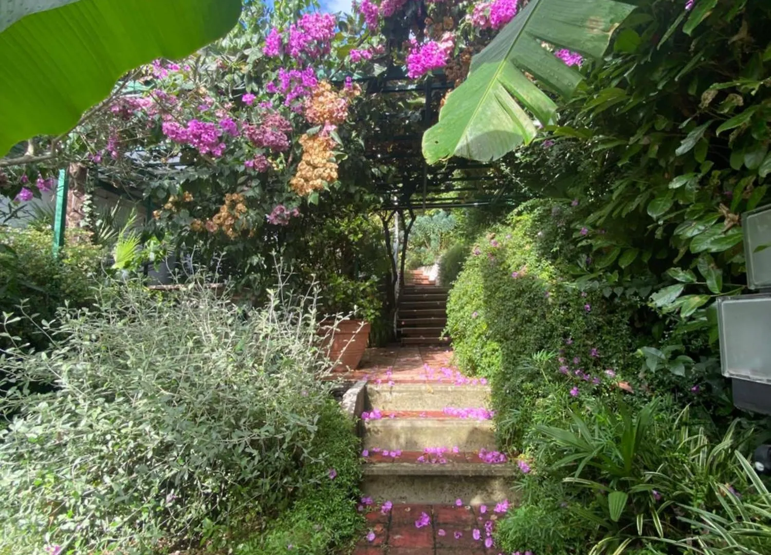 Apartment Ferienwohnung Sunny Garden Opatija